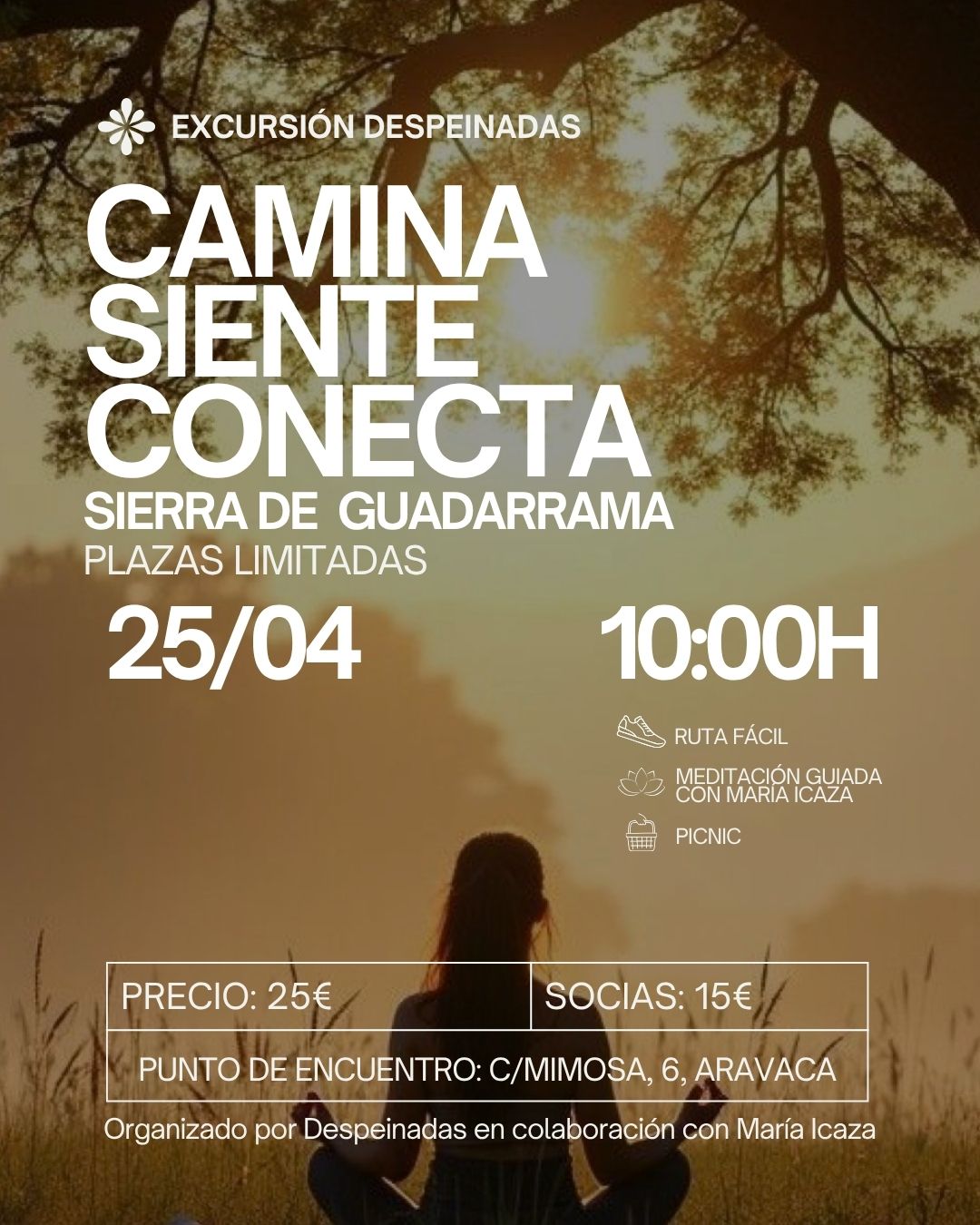 25/04 - CAMINA, SIENTE, CONECTA
